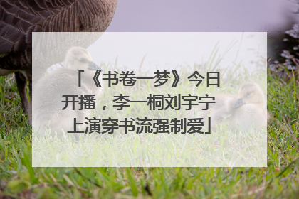 《书卷一梦》今日开播，李一桐刘宇宁上演穿书流强制爱