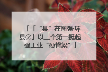 「“县”在图强·环县②」以三个第一挺起强工业“硬脊梁”