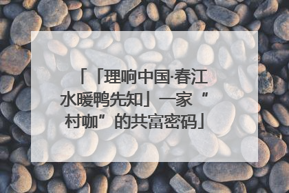 「理响中国·春江水暖鸭先知」一家“村咖”的共富密码