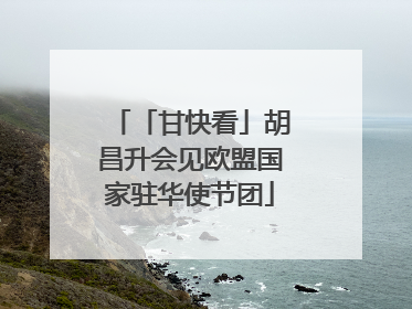 「甘快看」胡昌升会见欧盟国家驻华使节团