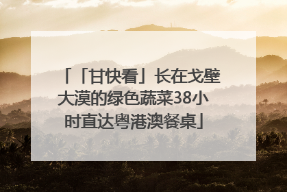 「甘快看」长在戈壁大漠的绿色蔬菜38小时直达粤港澳餐桌