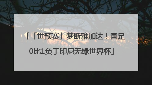 「世预赛」梦断雅加达！国足0比1负于印尼无缘世界杯