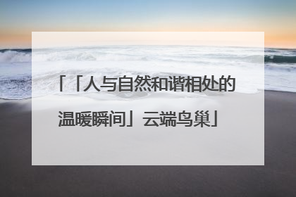 「人与自然和谐相处的温暖瞬间」云端鸟巢