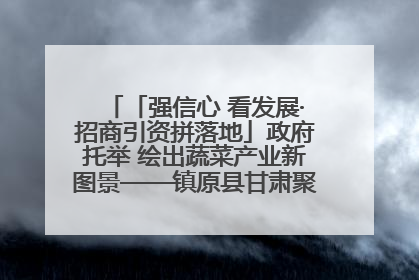 「强信心 看发展·招商引资拼落地」政府托举 绘出蔬菜产业新图景——镇原县甘肃聚广利现代设施蔬菜种植基地见闻