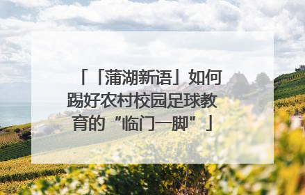 「蒲湖新语」如何踢好农村校园足球教育的“临门一脚”