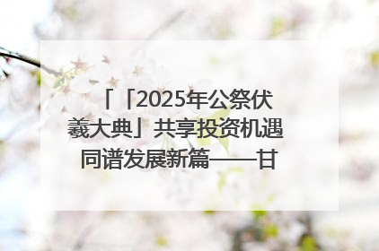 「2025年公祭伏羲大典」共享投资机遇 同谱发展新篇——甘肃省文旅产业链招商引资推介会侧记