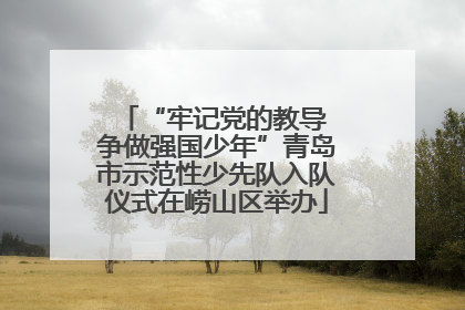“牢记党的教导 争做强国少年”青岛市示范性少先队入队仪式在崂山区举办