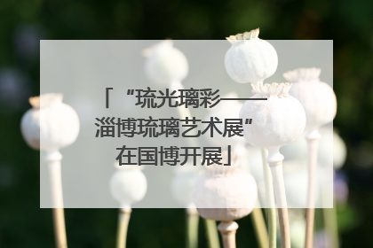 “琉光璃彩——淄博琉璃艺术展”在国博开展