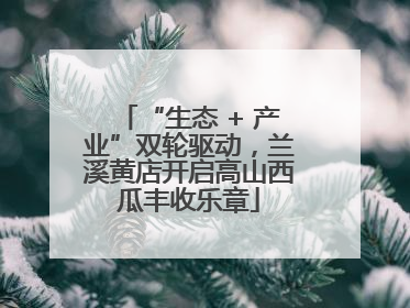 “生态 + 产业”双轮驱动，兰溪黄店开启高山西瓜丰收乐章
