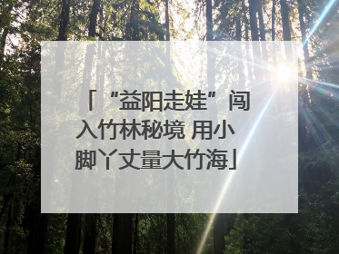 “益阳走娃”闯入竹林秘境 用小脚丫丈量大竹海