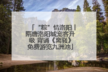 “粽”情洛阳丨隋唐洛阳城宠客升级 背诵《离骚》免费游览九洲池