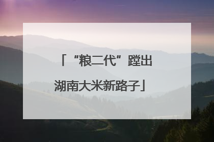 “粮二代”蹚出湖南大米新路子