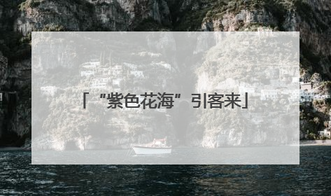 “紫色花海”引客来