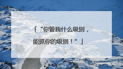 “你管我什么级别，能抓你的级别！”