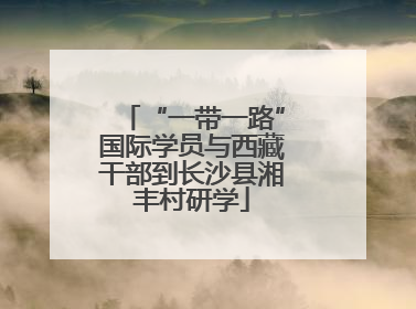 “一带一路”国际学员与西藏干部到长沙县湘丰村研学