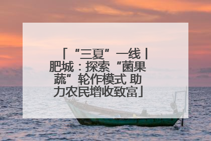 “三夏”一线丨肥城：探索“菌果蔬”轮作模式 助力农民增收致富