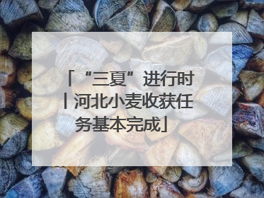 “三夏”进行时丨河北小麦收获任务基本完成