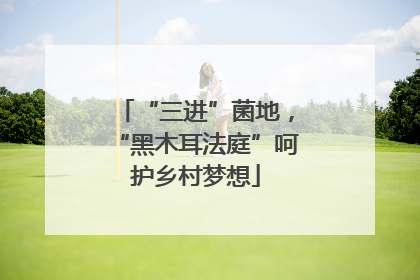 “三进”菌地，“黑木耳法庭”呵护乡村梦想