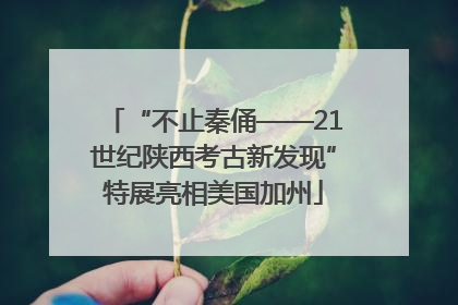 “不止秦俑——21世纪陕西考古新发现”特展亮相美国加州