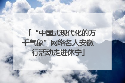 “中国式现代化的万千气象”网络名人安徽行活动走进休宁