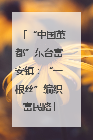 “中国茧都”东台富安镇：“一根丝”编织富民路