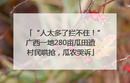 “人太多了拦不住！”广西一地280亩瓜田遭村民哄抢，瓜农哭诉