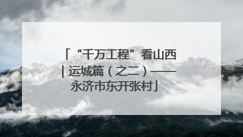 “千万工程”看山西｜运城篇（之二）——永济市东开张村