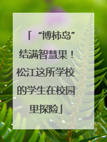“博柿岛”结满智慧果！松江这所学校的学生在校园里探险