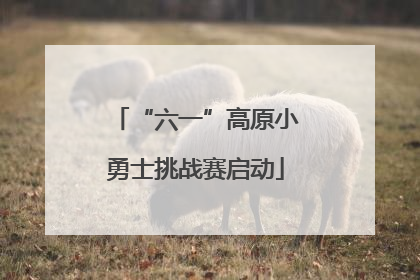 “六一”高原小勇士挑战赛启动