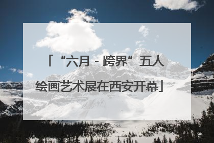 “六月 - 跨界”五人绘画艺术展在西安开幕