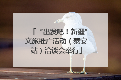“出发吧！新疆”文旅推广活动（泰安站）洽谈会举行