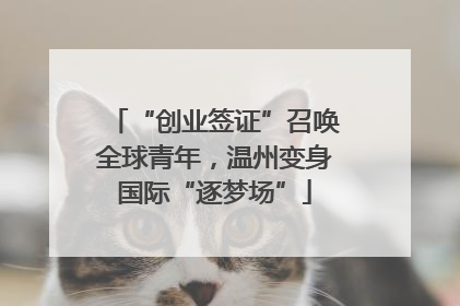 “创业签证”召唤全球青年，温州变身国际“逐梦场”
