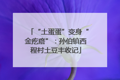 “土蛋蛋”变身“金疙瘩”：孙伯镇西程村土豆丰收记