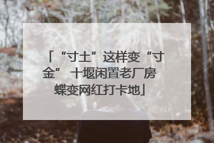 “寸土”这样变“寸金” 十堰闲置老厂房蝶变网红打卡地