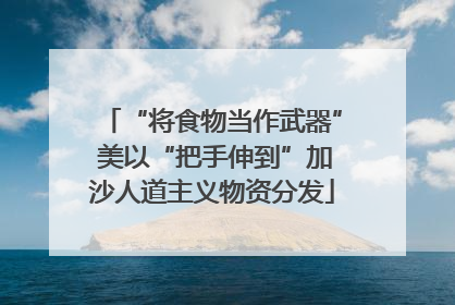 “将食物当作武器” 美以“把手伸到”加沙人道主义物资分发