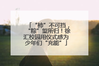 “柿”不可挡，“粽”望所归！徐汇校园用仪式感为少年们“充能”