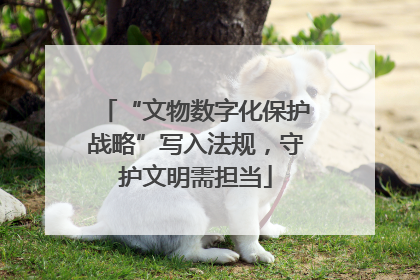 “文物数字化保护战略”写入法规，守护文明需担当