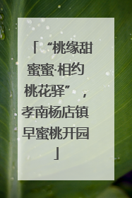 “桃缘甜蜜蜜·相约桃花驿”，孝南杨店镇早蜜桃开园