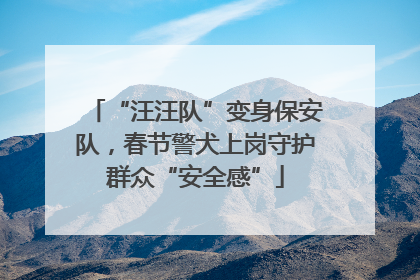 “汪汪队”变身保安队，春节警犬上岗守护群众“安全感”