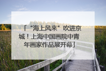 “海上风来”吹进京城！上海中国画院中青年画家作品展开幕