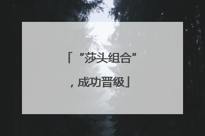 “莎头组合”，成功晋级