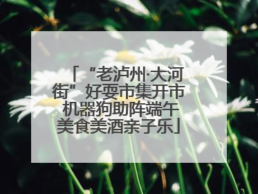 “老泸州·大河街”好耍市集开市 机器狗助阵端午美食美酒亲子乐