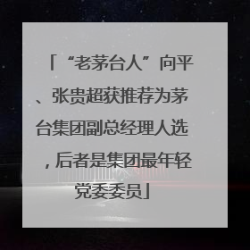 “老茅台人”向平、张贵超获推荐为茅台集团副总经理人选，后者是集团最年轻党委委员
