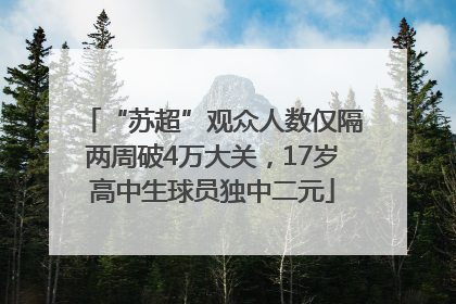 “苏超”观众人数仅隔两周破4万大关，17岁高中生球员独中二元