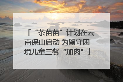 “茶苗苗”计划在云南保山启动 为留守困境儿童三餐“加肉”