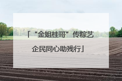 “金姐桂哥”传粽艺 企民同心助残行