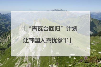 “青瓦台回归”计划让韩国人喜忧参半