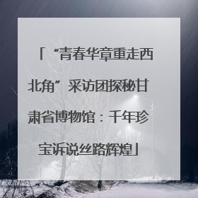 “青春华章重走西北角”采访团探秘甘肃省博物馆：千年珍宝诉说丝路辉煌