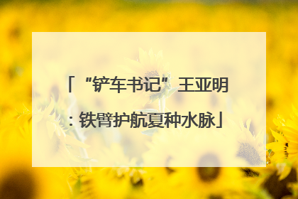 “铲车书记”王亚明：铁臂护航夏种水脉