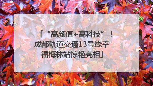 “高颜值+高科技”！成都轨道交通13号线幸福梅林站惊艳亮相
